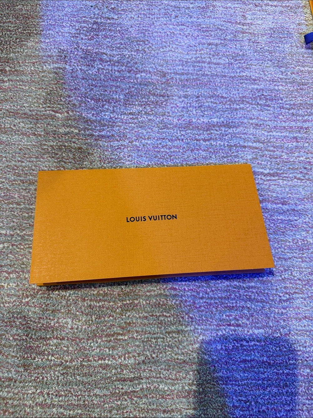 Louis Vuitton Envelope